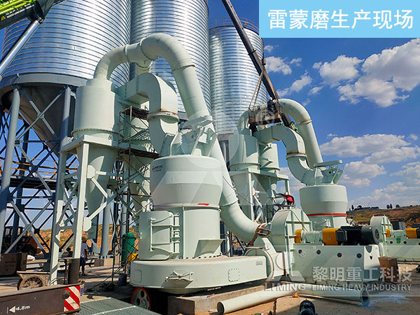 水鎂石雷蒙磨粉機(jī)廠家推薦黎明重工