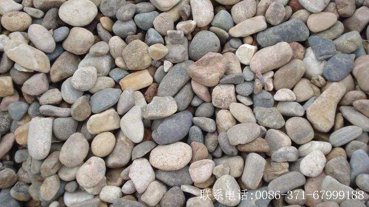 現(xiàn)場河卵石展示圖