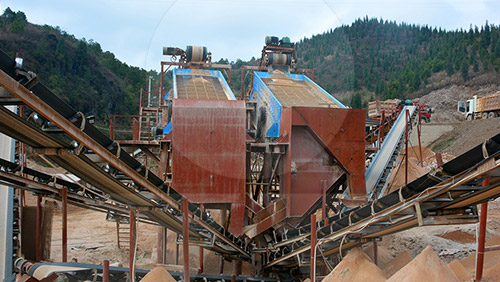 振動篩生產(chǎn)線案例