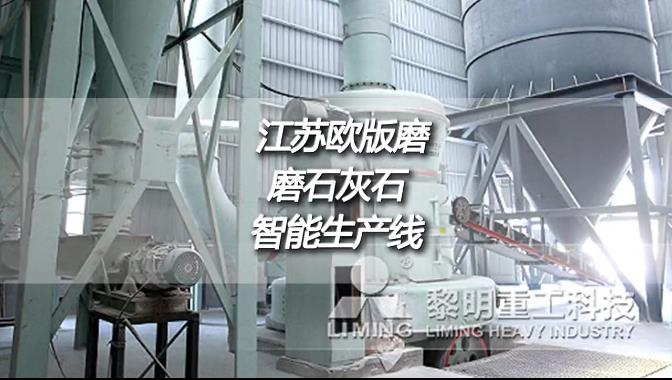 江蘇宜興時產(chǎn)20噸出料200目石灰石磨粉項目